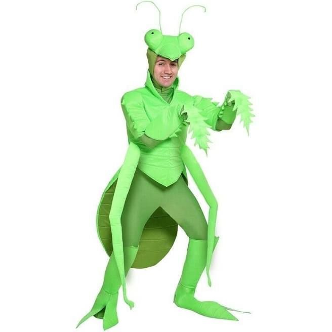 Костюм богомола