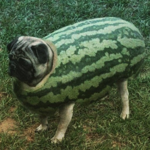 Собака в шлеме из арбуза