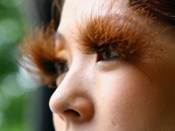 Самые большие ресницы