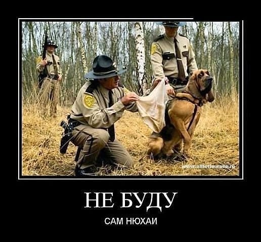 Демотиваторы про немцев