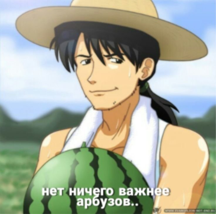 Кадзи Евангелион арбузы
