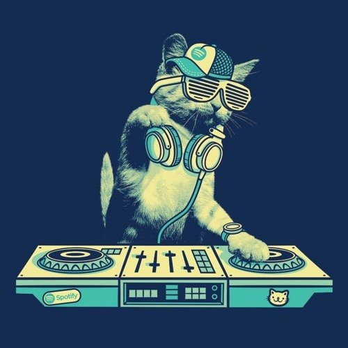 Коты диджеи