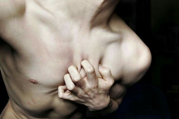 Эстетика тела