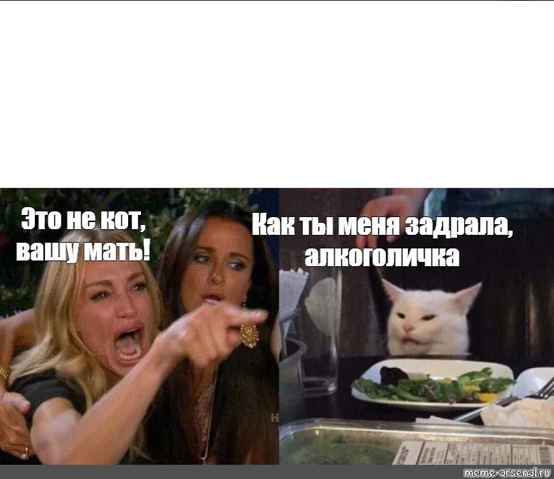 Мем больше страсти мать Вашу с котом