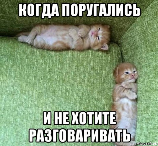 Котики помирились