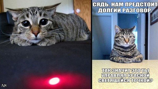 Кот нам надо поговорить