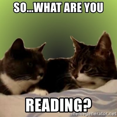 Котики общаются