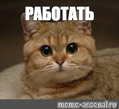 Мем с котом работай