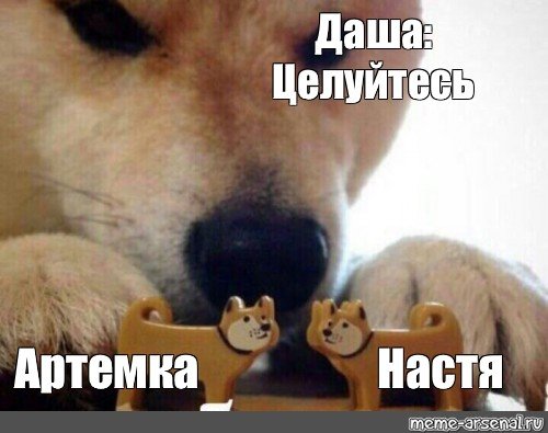 Собаки обнимаются Мем