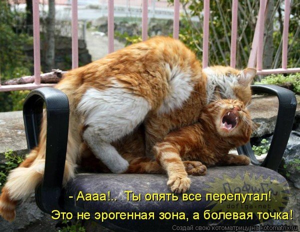 Самое Щекотное место