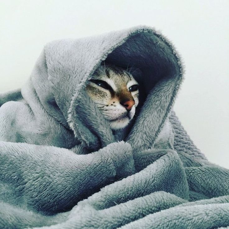 Укутанный в одеяло