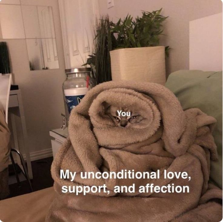 Укутаться в одеяло