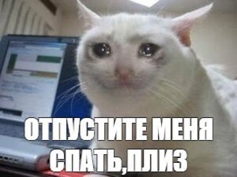 Котик со слезами на глазах