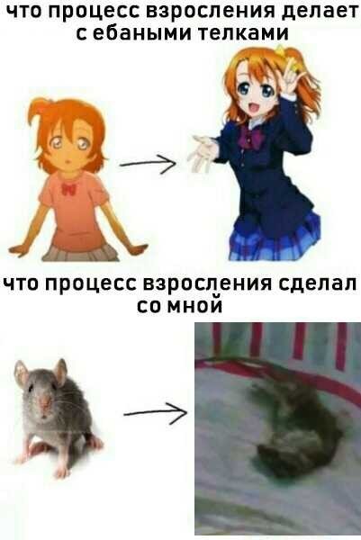 Половое созревание Мем