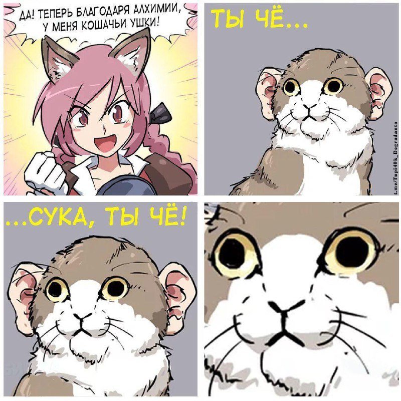 Кот мемы аниме