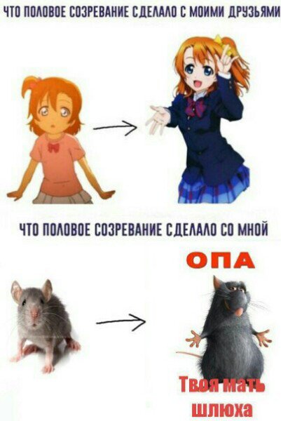 Половое созревание Мем