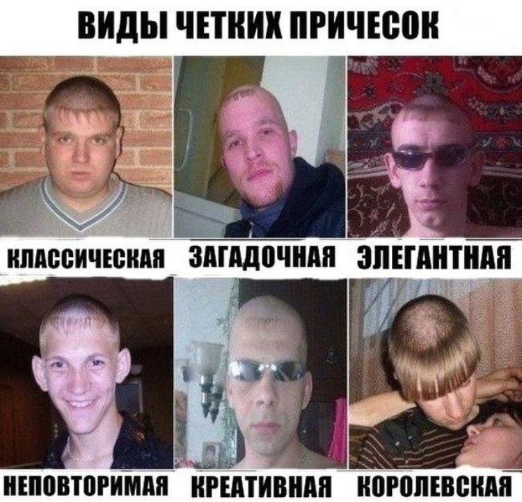 Смешные стрижки