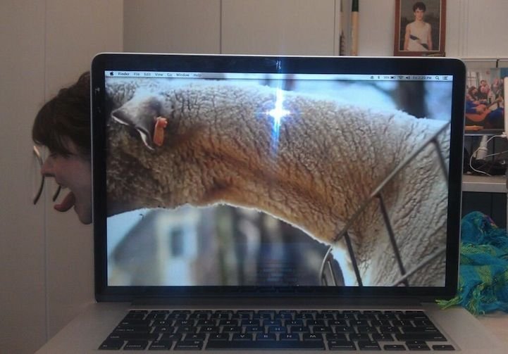 Смешной монитор