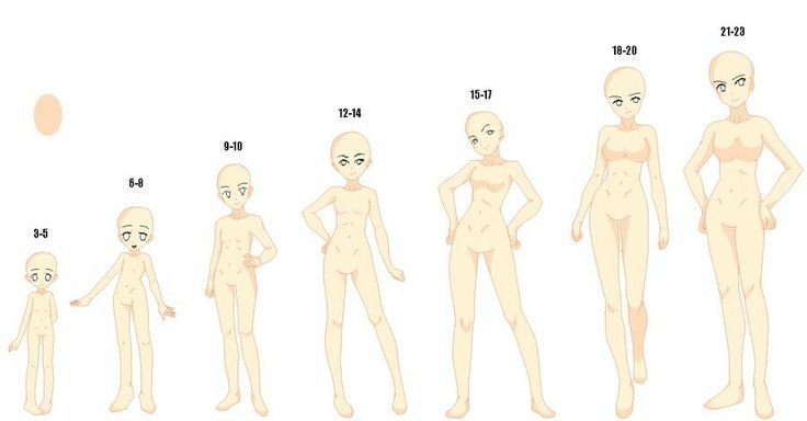 Заготовки тела для рисования