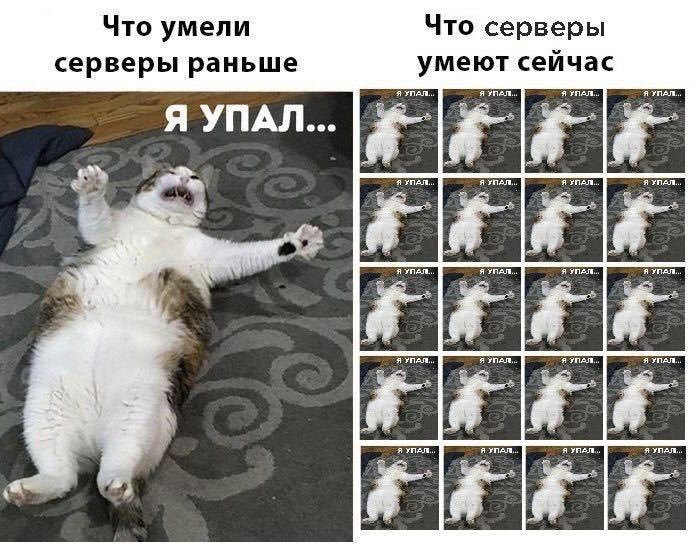 Котенок я упал