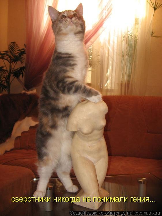 Мурзик прикол