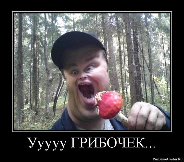 Мемы про грибы