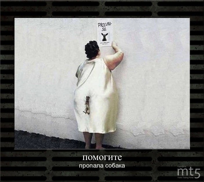 Пропала собака демотиватор