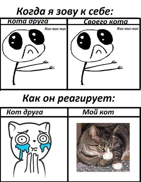 Коты мемы комиксы
