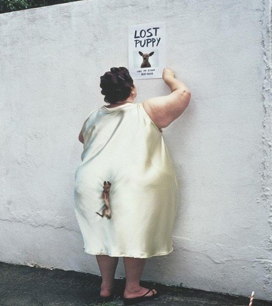 Потерялась собака в попе