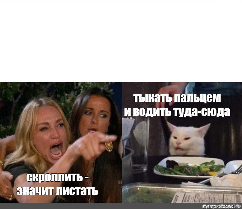 Девушки орут на кота