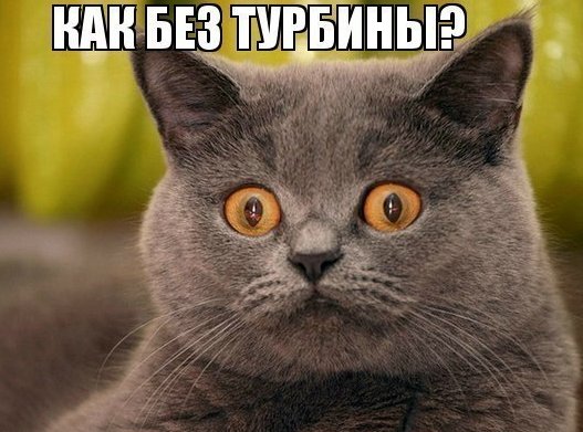 Коты мемы британцы