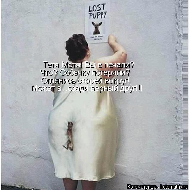 Потерялась собака прикол