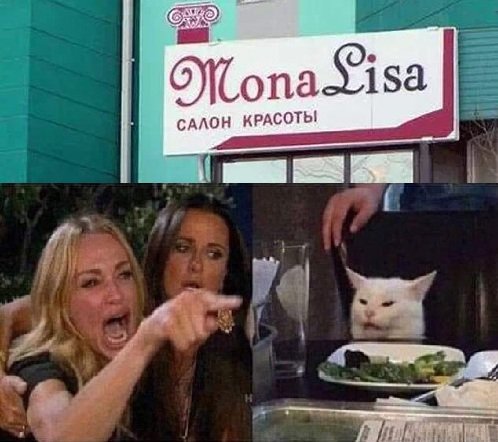 Мем женщина и кот
