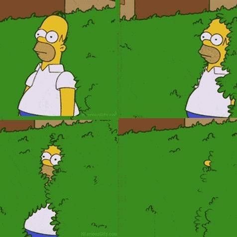 Гомер в кустах