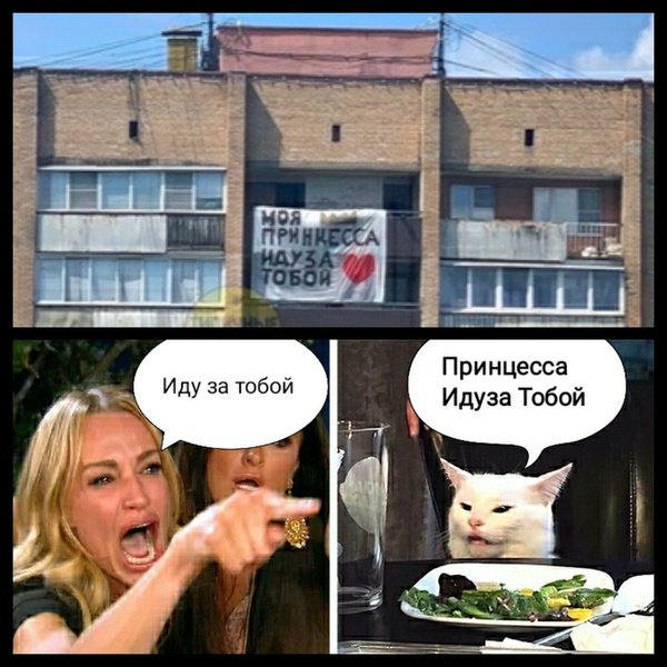 Мемы с котом за столом с надписями