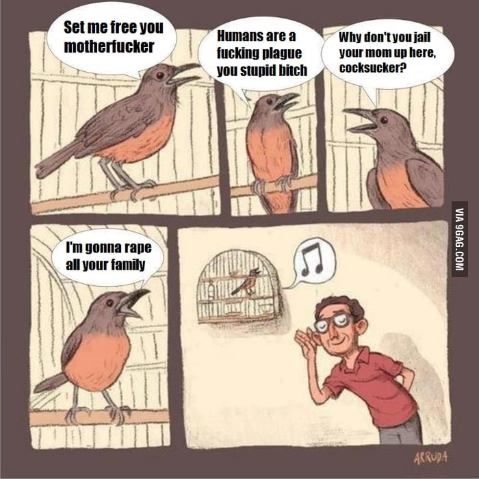 Шутки про птиц смешные