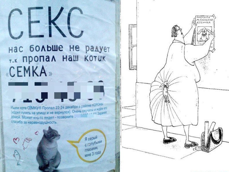 Объявление пропала собака смешное