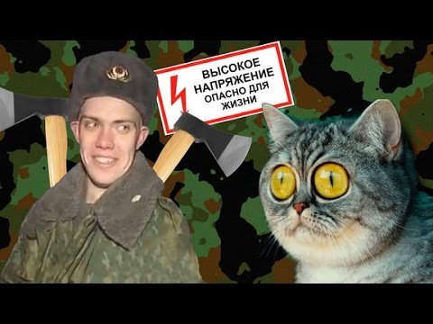 Солдат спасает кота
