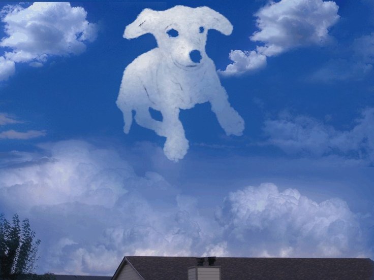 Облако в виде собаки