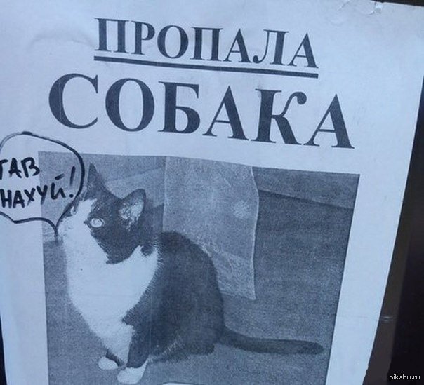 Карикатура потерялась собачка