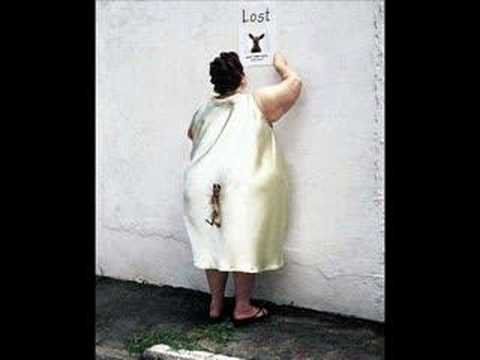 Потерялась собака прикол