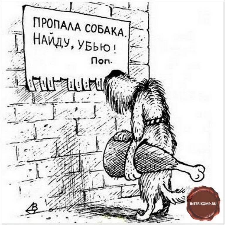 Пропала собака карикатура