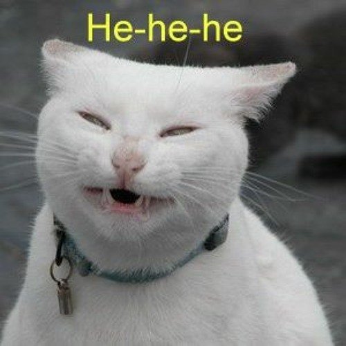Хе Хе кот