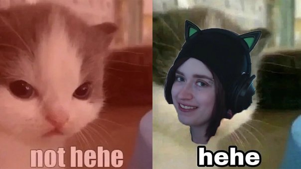 Котик хехе