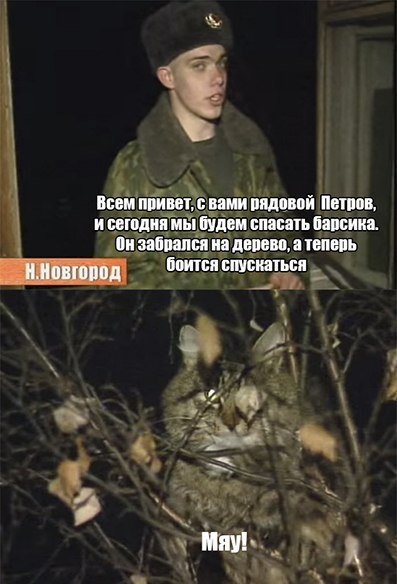 Солдат спасает кота