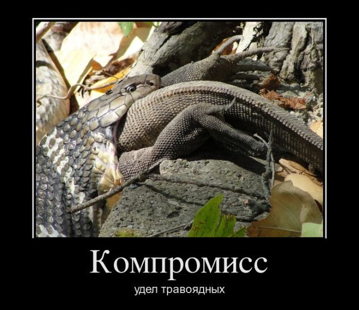 Шутки про компромисс