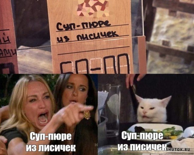 Мемы с котом и девушками