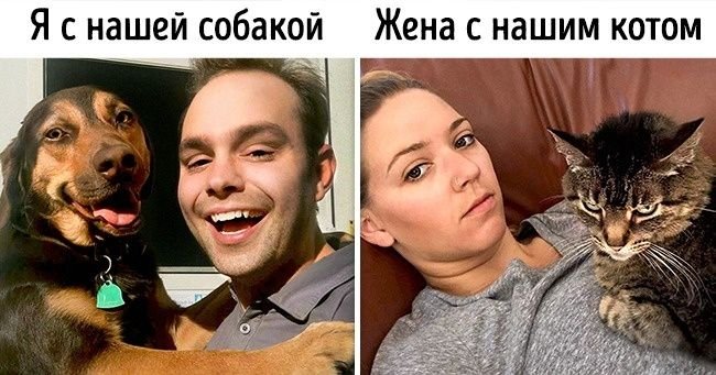 Коты и собаки Мем