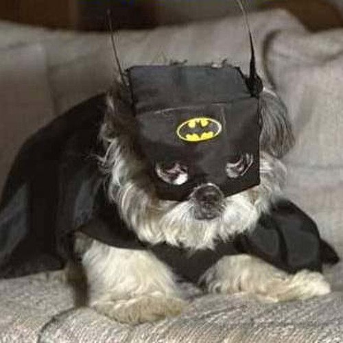 Ужас летящий на крыльях ночи