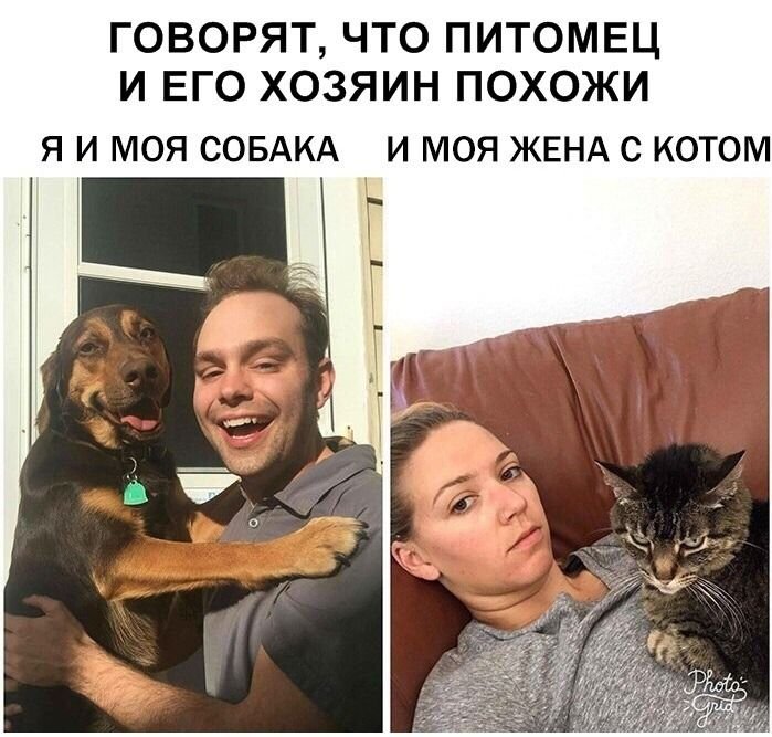 Человек и собака муж и жена